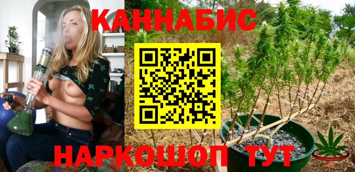 Бошки марихуана Bruce Banner Кизляр
